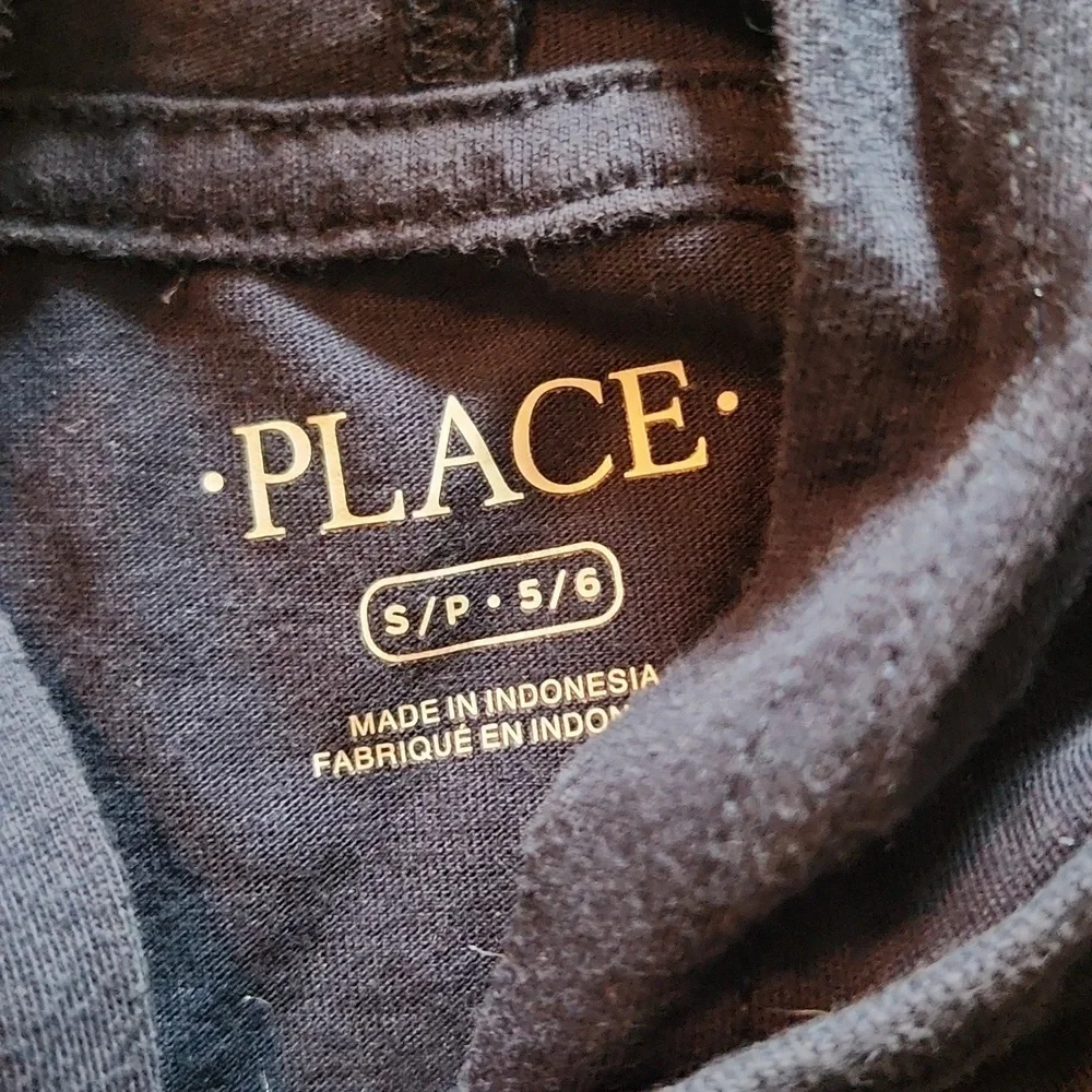 Children's Place long Sleev Hooded Tee